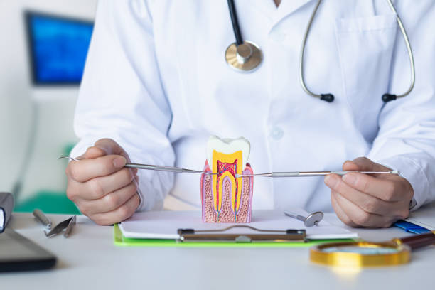 Best Emergency Cosmetic Dentistry in Honey Grove, TX